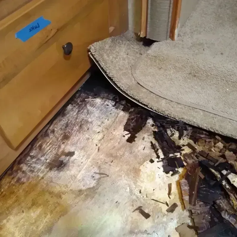 Wood Floor Water Damage in Ashton-Sandy Spring, MD